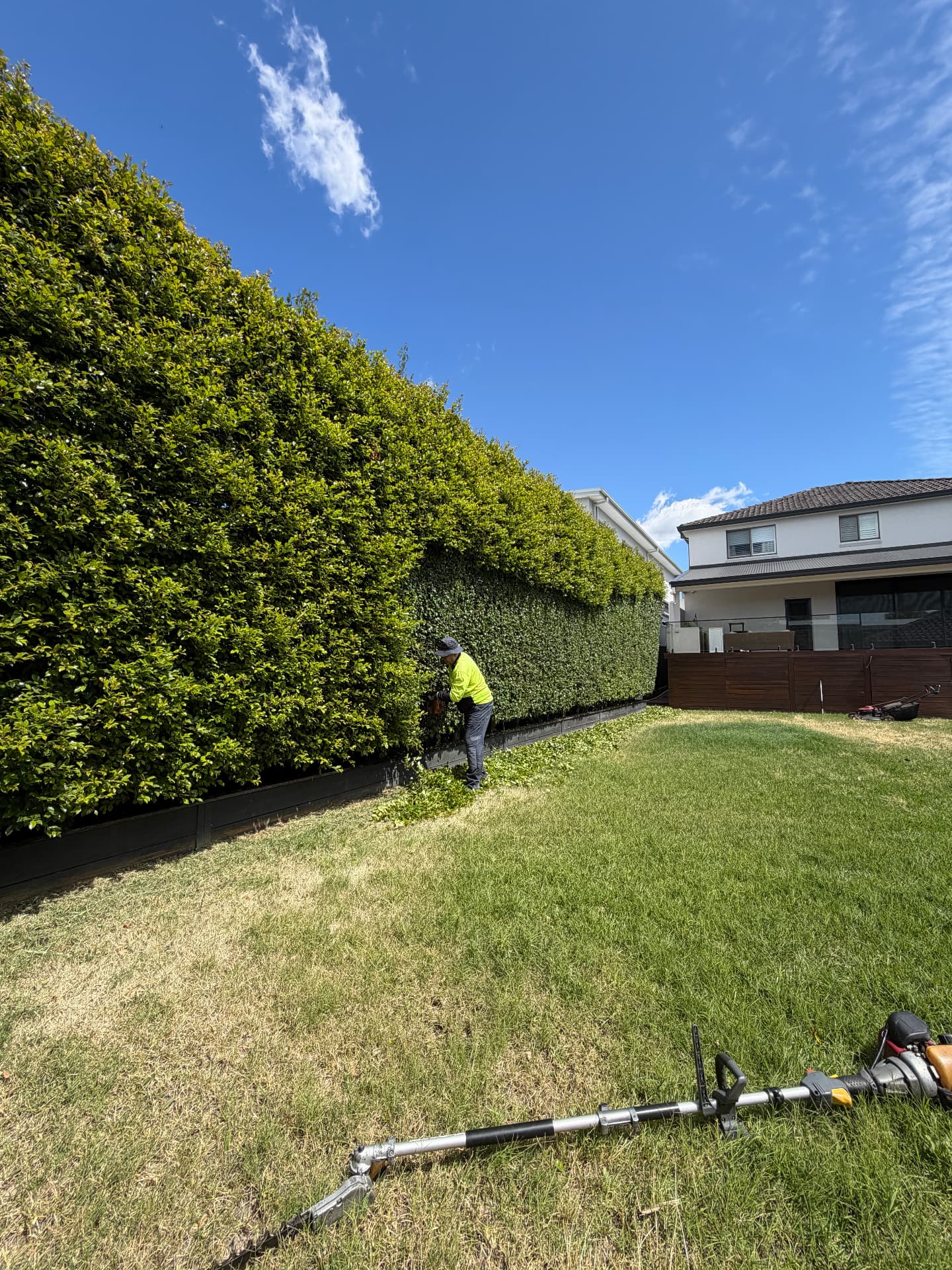 Hedge Trimming