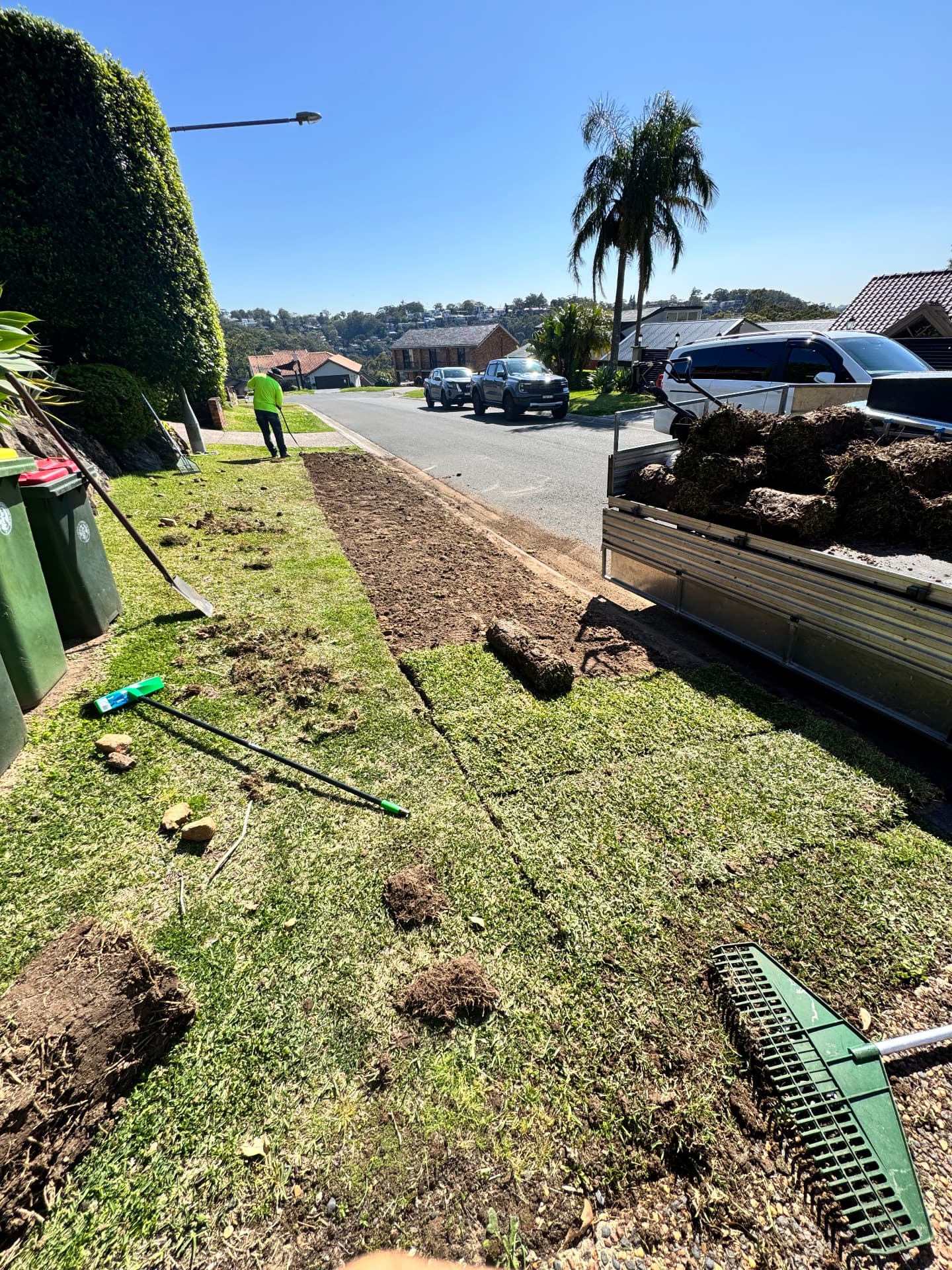 Fresh turf being laid on a prepared front lawn