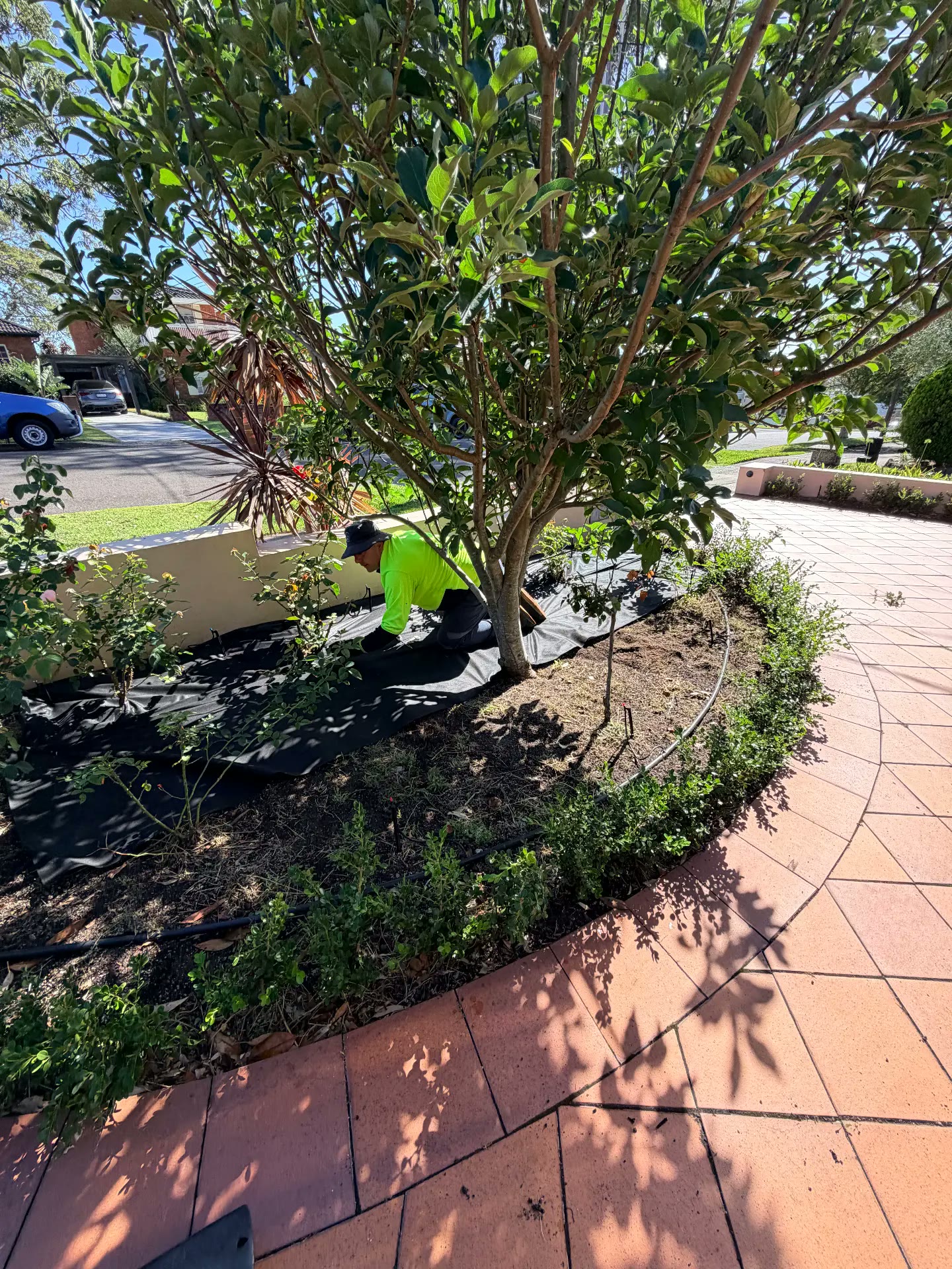 Planting & Mulching